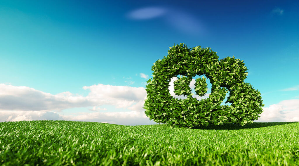 Tarannà-apuesta-por-ser-una-empresa-neutra-en-emisiones-para-el-2030