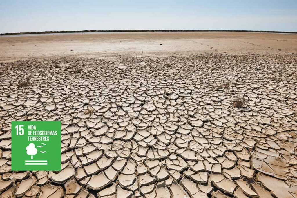 Desertificación_